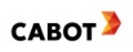 Cabot Named Top Carbon Black Company in Energy Efficiency in China