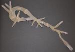 EU Awards MATERIALISE Funding for Contributions to Development of 3D Printed Vascular Phantom Models