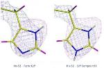 Neutron Crystallography Helps Solve Mystery of Ferryl Heme Compound I Structure