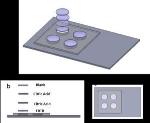 Simple, Inexpensive Test to Detect Fake Malaria Drugs