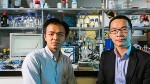 Novel Method Improves Catalysis of Water-Splitting Reactions for Storing Wind and Solar Energy