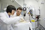 BASF Breaks Ground on €90 Million R&D Expansion in China
