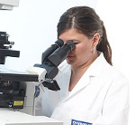 Olympus Offer Expert Microscopy Advice at Three Meetings In Europe During August