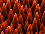 Researchers Increase Sensitivity of Atomic Force Microscopes Using Laser Beams