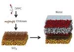 Ultra-Thin Synthetic Membranes Developed Without Using Solvents