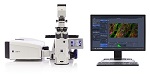 ZEISS Introduces LSM 880 with Airyscan