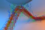 MIT Researchers Create Underwater Adhesives Inspired by Shellfish