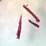 Researchers Synthesize Crystalline Materials Capable of Storing Oxygen in High Concentrations