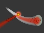 Gold Nanoparticles on Glass Fibres Direct Light in One Direction