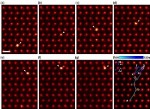 Direct Observation of Atomic Diffusion in Bulk Material