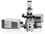 ZEISS Congratulates Chemistry Nobel Laureates, Underlines Value of Superresolution Microscopy