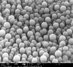 Nanolobe Production Technique Holds Promise for 3D-Printed Pharmaceutical Concepts