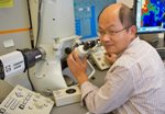 Toyota and Brookhaven Lab to Explore Chemical Reactions of Mg Batteries