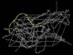 Inexpensive Semiconducting Polymers Efficiently Transport Electrons