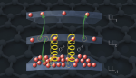 Researchers Study Dynamics of Graphene Electrons in a Magnetic Field
