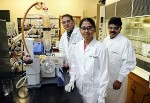 Researchers Develop Biodegradable Plastics from Biomass