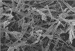 Injectable, Programmable Biomaterial Vaccine Could Fight Cancer, HIV