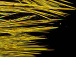 EPFL Scientists Design Nanowires from Perovskite Material