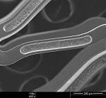 StarCut Tube SL - the New Ultra-compact Tube Cutting System by ROFIN
