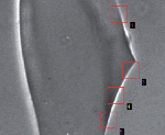 Premium Glass Refractive Index Measurements with CRAIC Technologies