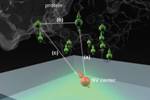 Diamonds Could Reveal Complex Protein Structures without the Need for Crystallisation