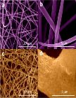 New Silicon Nanofibers Could Boost Lithium-Ion Batteries Used in Electric Vehicles
