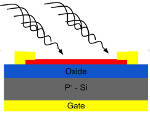 Atomically Thin Molybdenum Disulfide Sensors Detect Gases and Chemicals