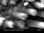 ESA Awards IComp €240k for Research on Demisable Bio-Composite Space Materials