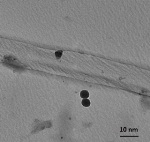 PVDF Incorporated with Carbon Nanotubes and Buckyballs Could Improve its Electricity Generating Properties