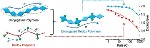 N-Type Polymer Material Holds Promise in Energy Storage Applications