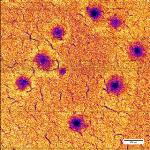 X-ray Fluorescence Detector Reveals Structural Changes in Lithium-Ion Batteries