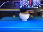 3D Printing Enables Standardized Bird Egg Rejection Experiments