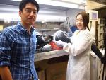 New Research into a Silicon Quantum Dot-Based White-Blue LED Could Provide the Next Generation of Lighting