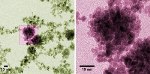 Novel NIST Technique Helps Create Platinum 'Nano-Raspberries' for More Practical Fuel Cells