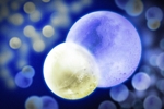 MIT Researchers Create the World's Coolest Stable Molecules