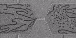 Argonne and UCLA Develop New Method to Create Magnetic Skyrmion Bubbles at Room Temperature