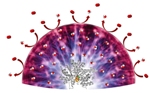 Novel Hydrogel Protects Sensitive Catalysts from Oxygen-Induced Damage