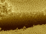 New Study Aids Development of Crack-Resistant Materials for Industrial Applications