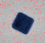 Ultrafast Plasmonic Device Could Form the Basis for Optical Computers