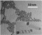 Plasmon-Based Method Helps Harness Sunlight for Energy