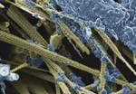 NSF’s Industry/University Center Program Promotes Development of Atomically Thin Coatings