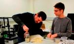 The Science of Snap, Crackle and Pop: The Movement and Crushing of Porous Materials under Compression