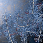 Ultra-Soft Dry Silicone Rubber Features Tunable Softness to Mimic Biological Tissues