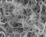 Electrolytic Process Converts Atmospheric Carbon Dioxide into Valuable Carbon Nanofibers