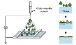 Electrospray Renders Langmuir-Blodgett Assembly More Efficient and Safer to Scale up