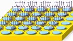Researchers Observe Dynamic Mott Transition in Superconductors