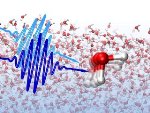 Liquid Water Maintains Local Structural Dynamics on a Picosecond Timescale