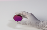 Exciting Free Webinar from PANalytical: XRD Characterization of Highly Oriented Thin Films