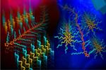 Eco-Friendly Process to Control the Assembly of Functional Photovoltaic Polymers