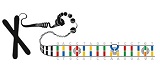Nobel Prize in Chemistry 2015 Awarded for Studies on the Mechanisms of DNA Repair